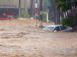 Foto: Samira Dutra